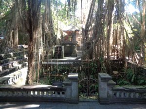 Monkey Forest Ubud Bali Mandala Wisata Wenara Wana