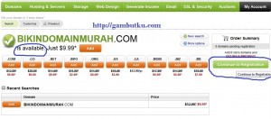 domain .info murah