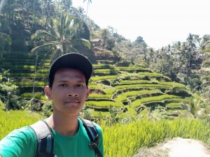 Tegalallang Rice Terrace Ubud Bali